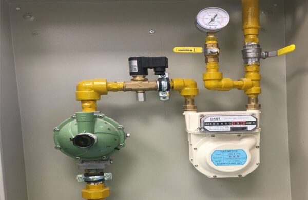 Gas meter and regulator panel